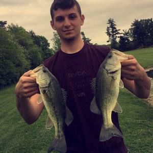 Meet your Posher, Brock